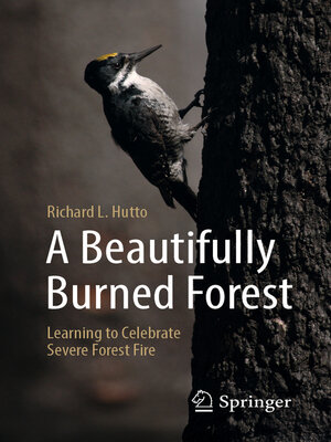 cover image of A Beautifully Burned Forest